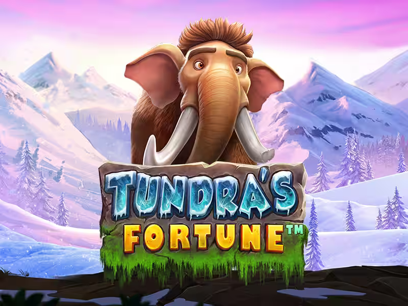 Tundra's Fortune